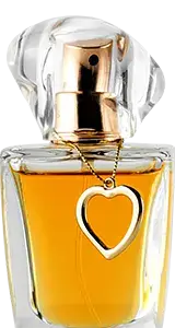 TivaBeauty